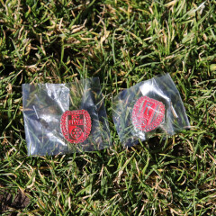 FC RWE-Jubil&auml;umspin Traditionslogo