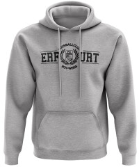 RWE-Hoodie College Logo (grau)